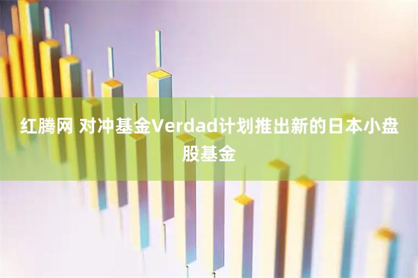 红腾网 对冲基金Verdad计划推出新的日本小盘股基金