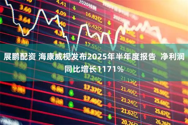 展鹏配资 海康威视发布2025年半年度报告  净利润同比增长1171%